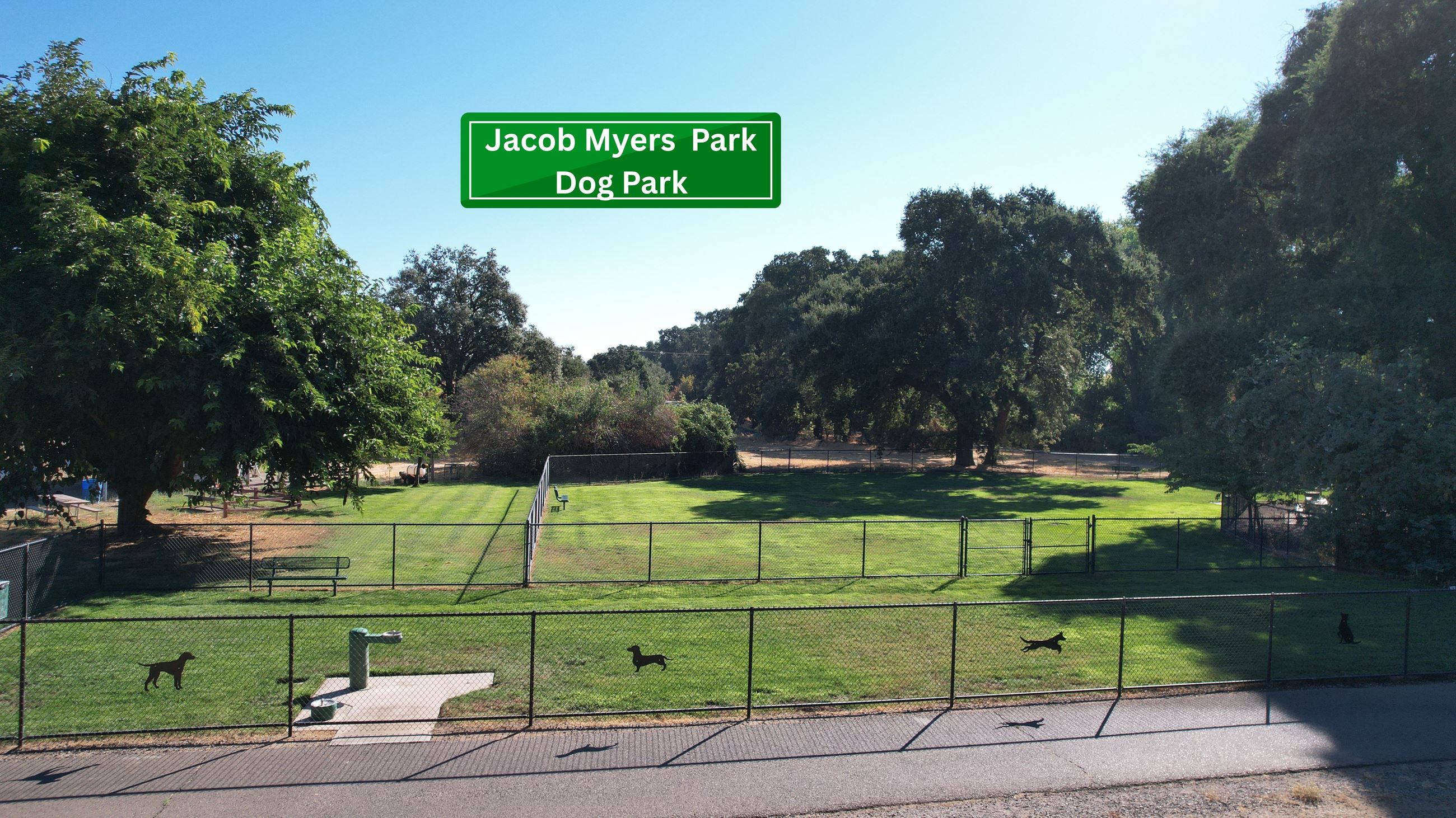 JMP Dog Park (2)